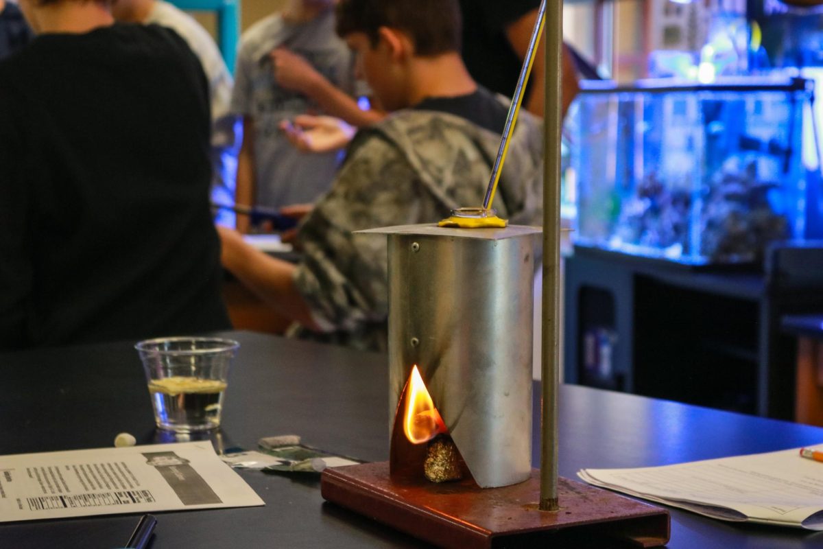 A hot Cheeto on fire for the lab.