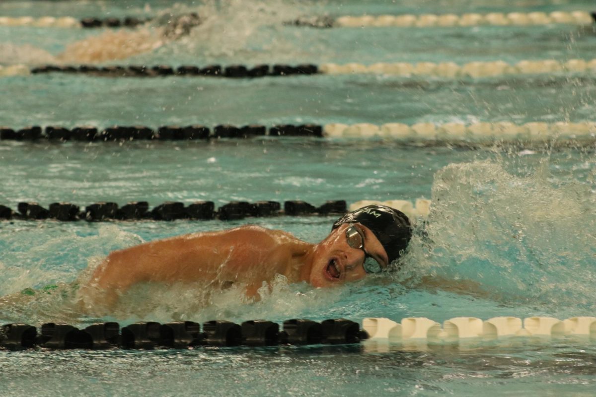 Junior Harrison Hallock