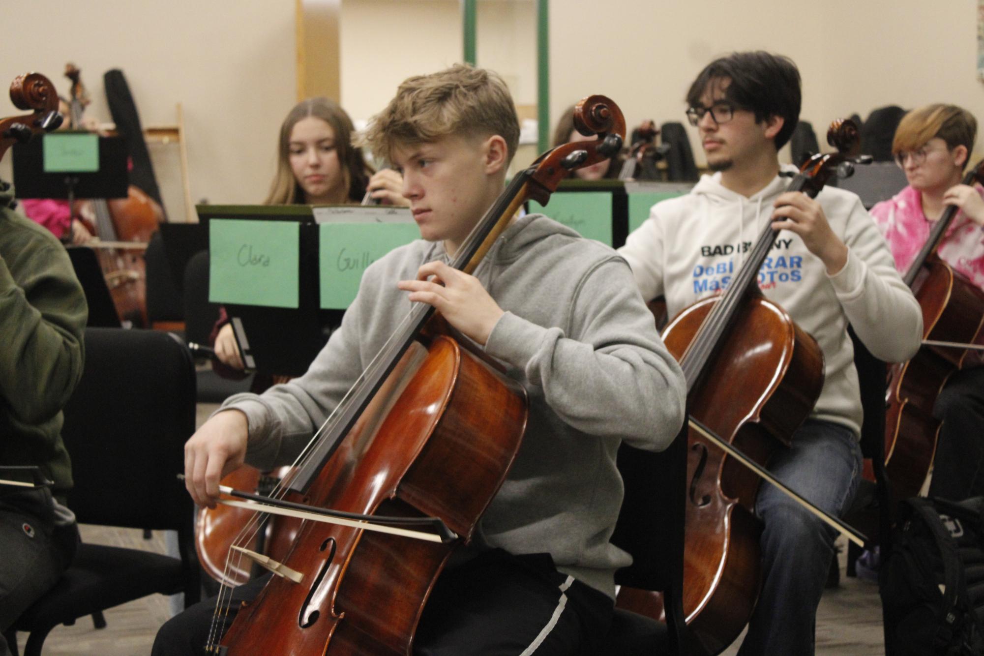 Orchestra Portraits (Photos by Starlan Bryant)