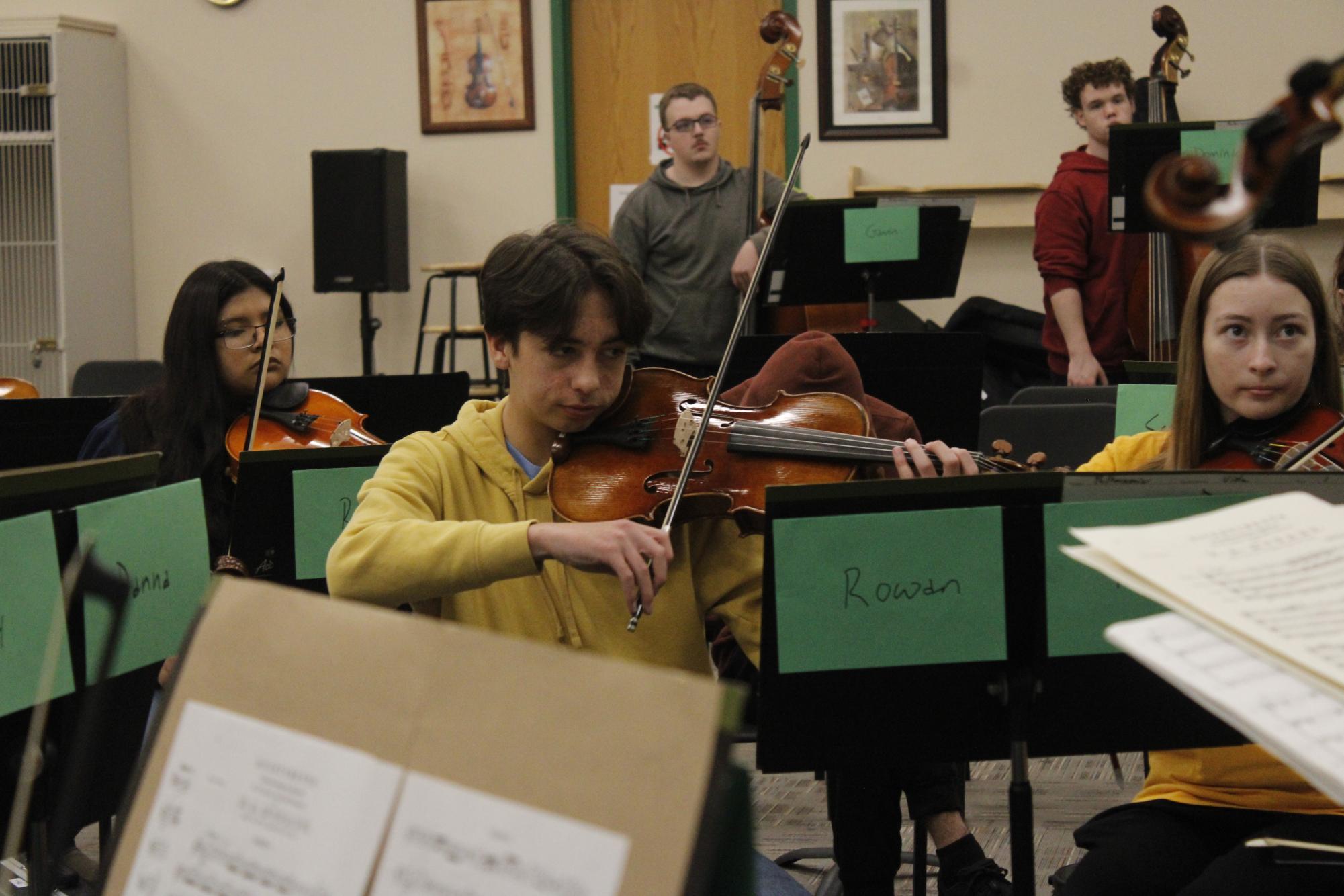 Orchestra Portraits (Photos by Starlan Bryant)