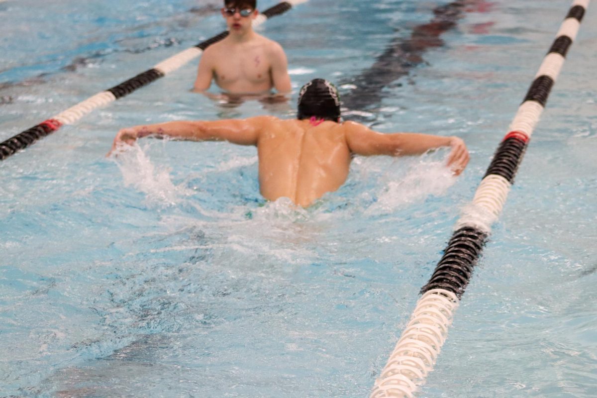 swimmer doing butterfly swim