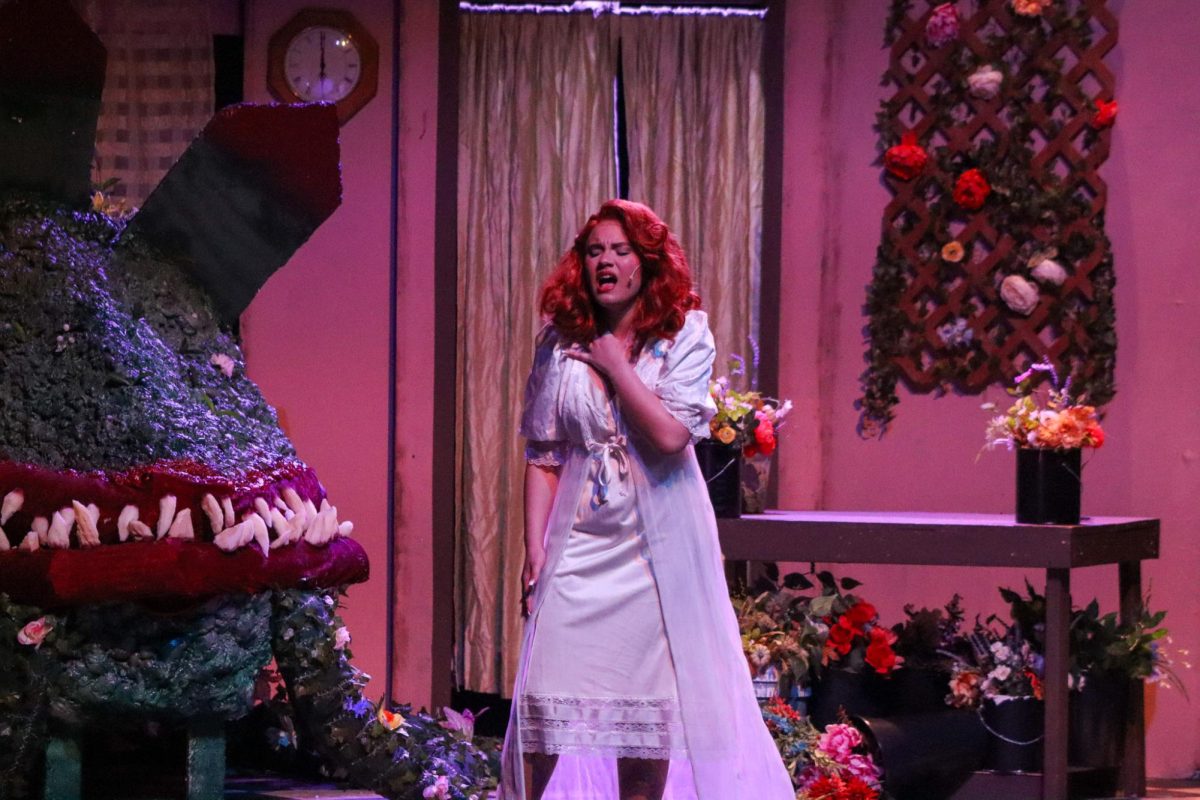 Little shops of horrors put on by the dhs drama club 