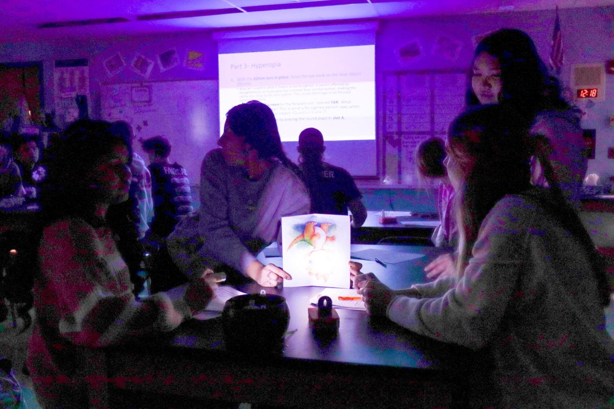 Students doing Biomed Lab