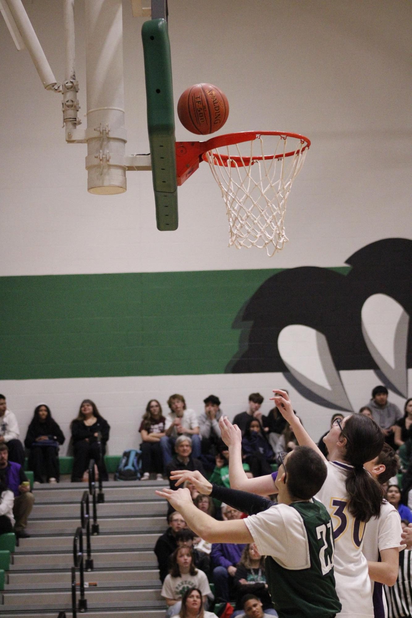 Panther Pals Basketball Game
