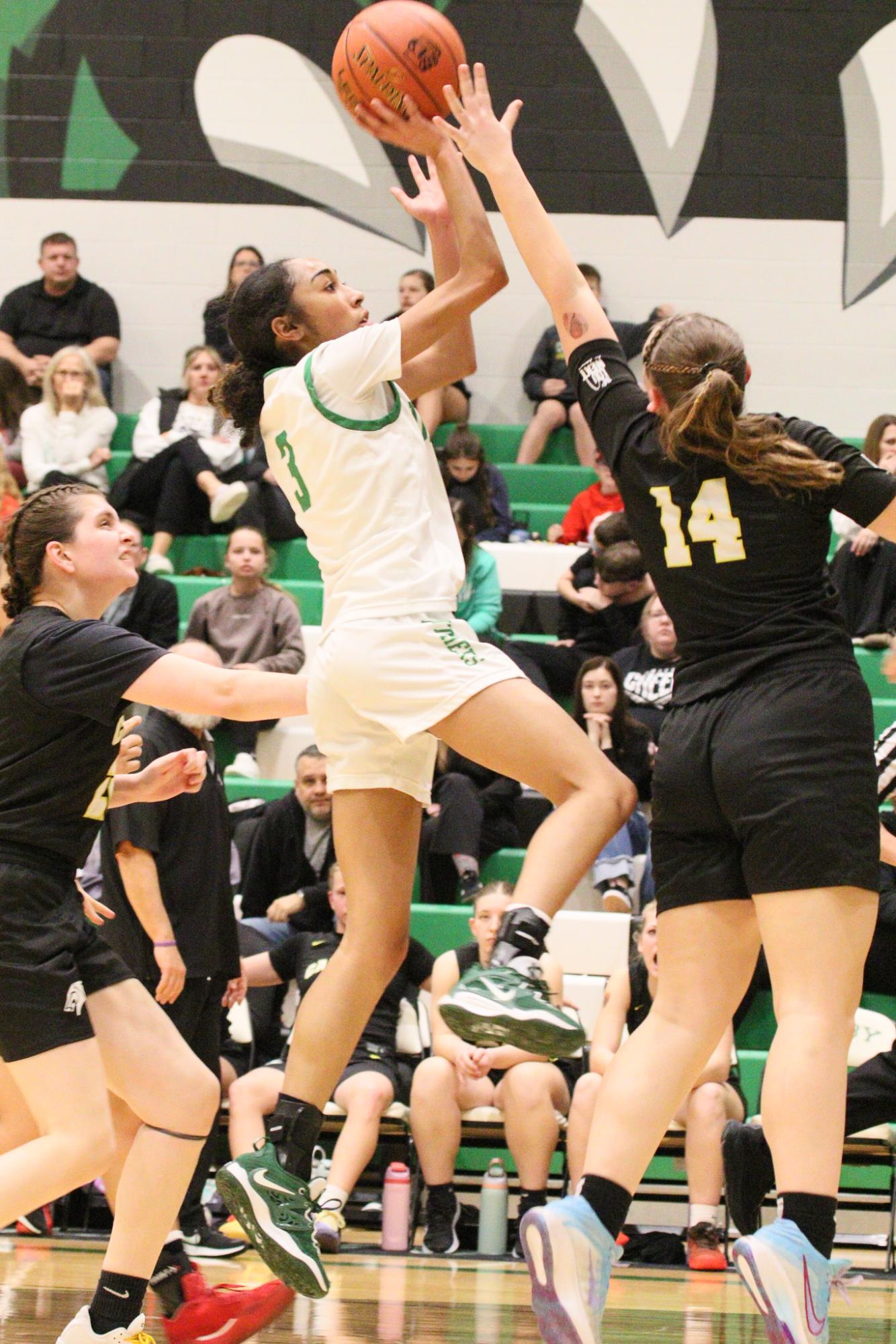 Sub-State girls basketball vs. Campus (Photos by Bree Stuhlsatz)