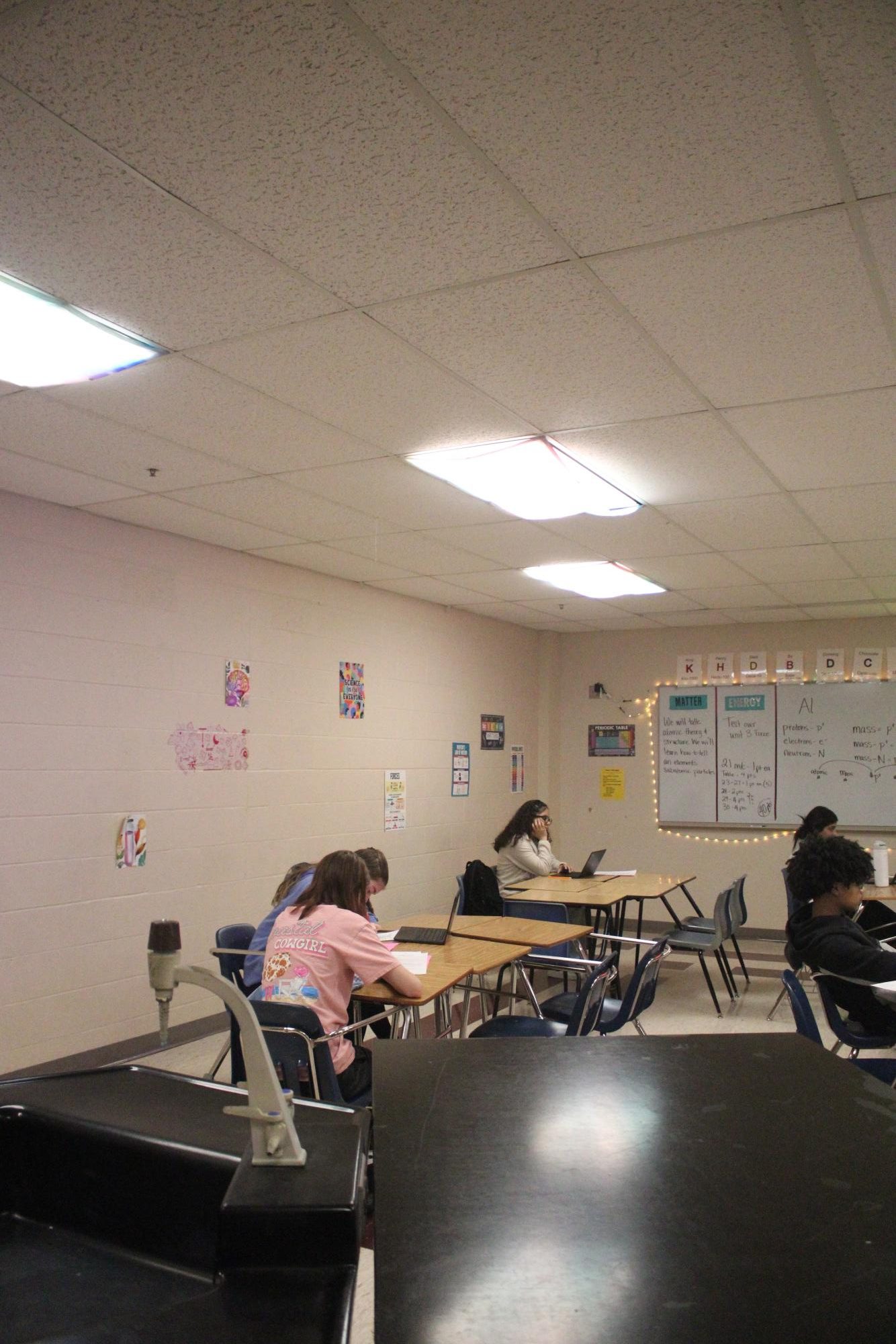 Ms. Craddock's Science Class works on an assignment (Photos by Isadora Colgrave)