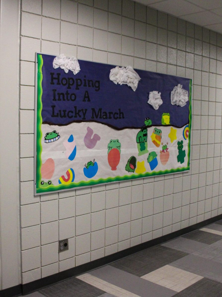 Frog themed wall display.