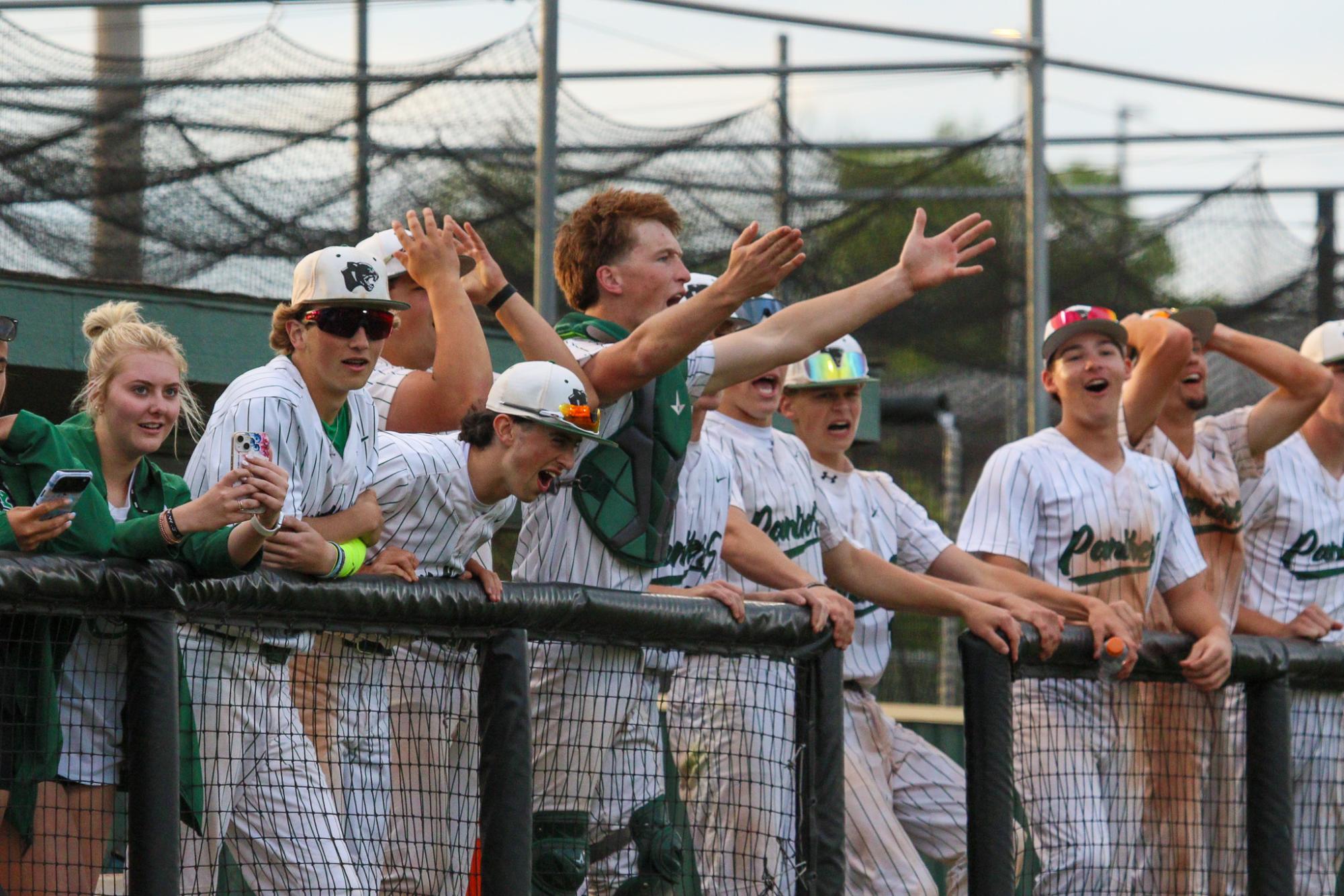 Varsity Baseball vs. Newton (Photos by Bree Stuhlsatz)