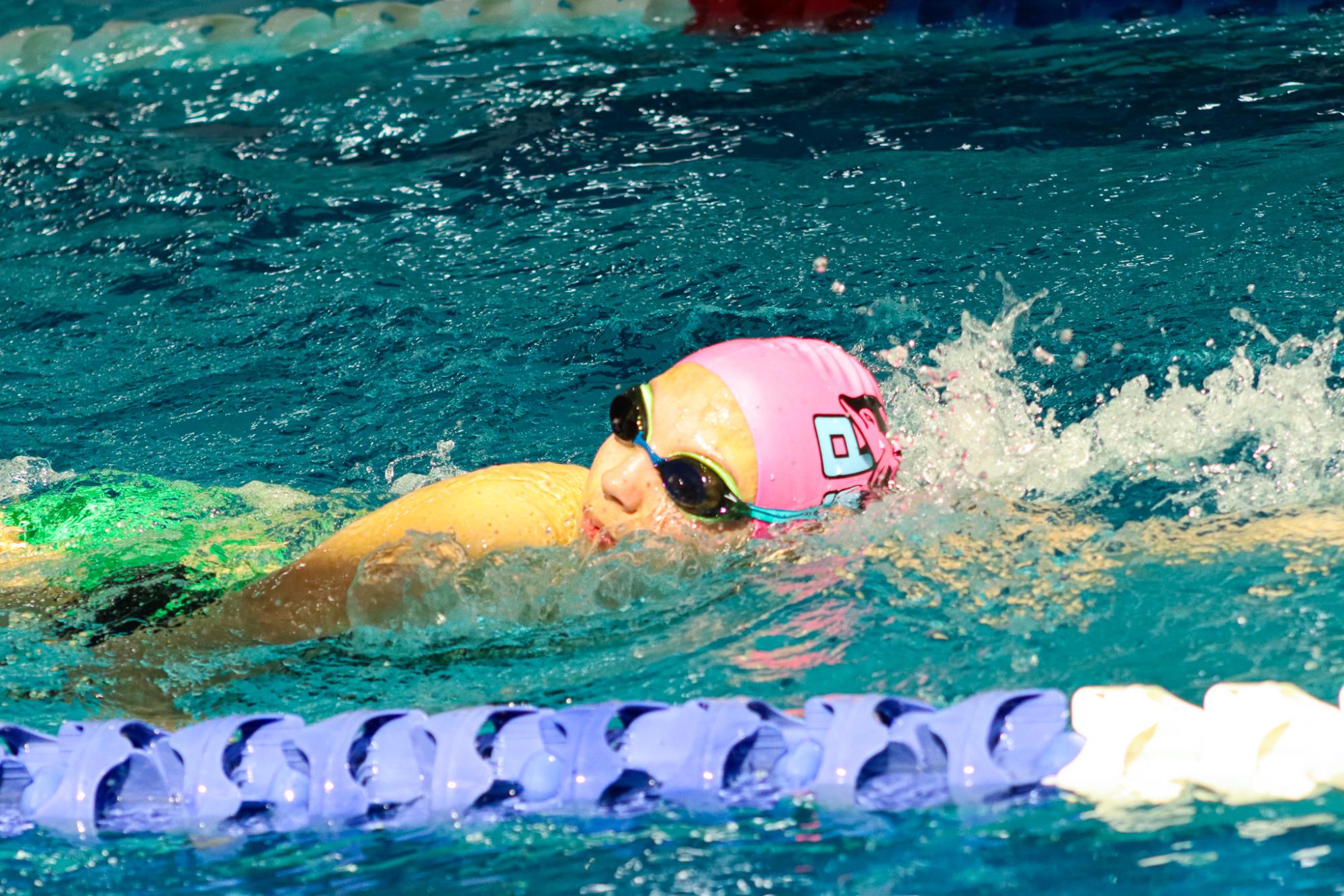 Swim Practice (Photos by Ava Phouangmala)