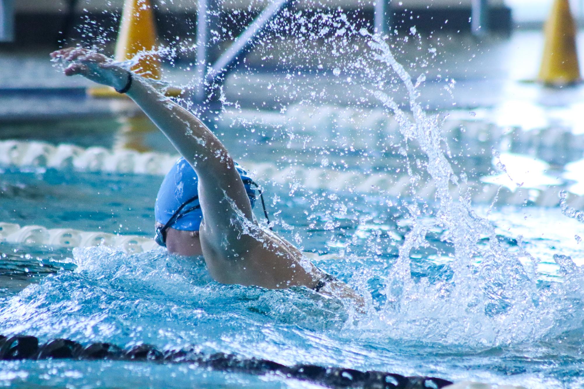 Dive & Swim Meet (By Ava Phouangmala)