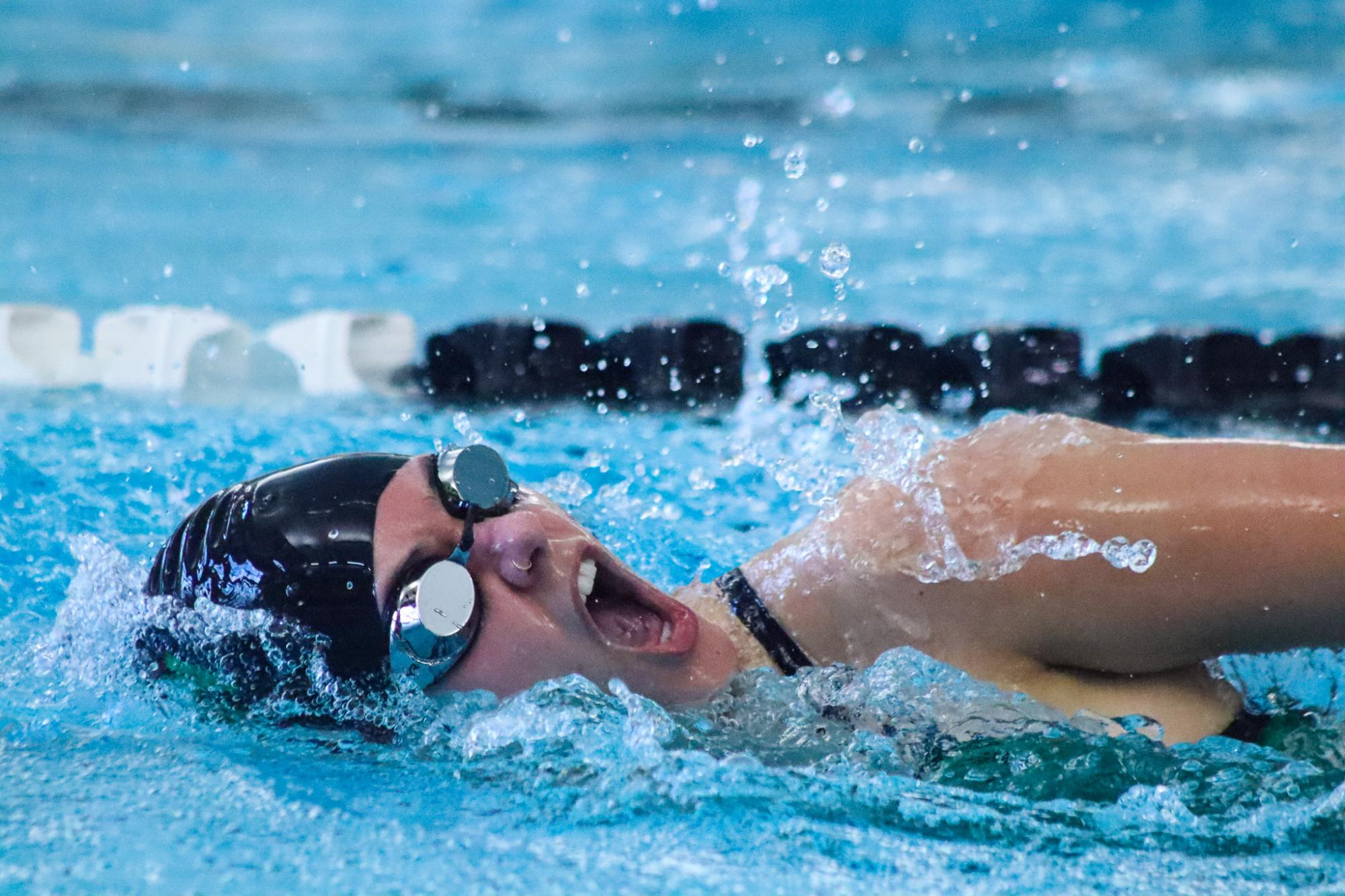 Dive & Swim Meet (By Ava Phouangmala)
