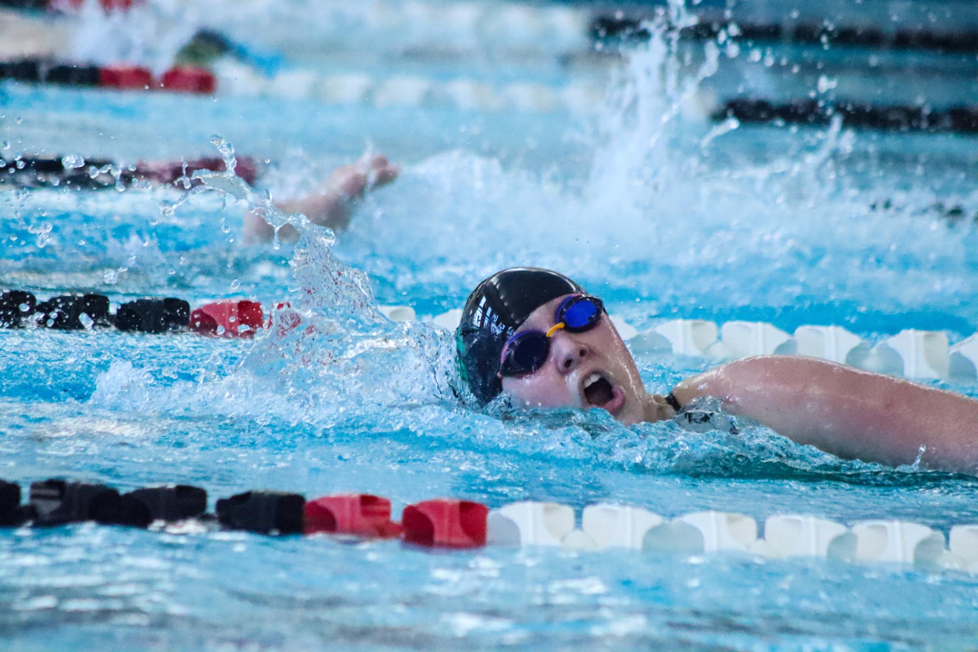 Dive & Swim Meet (By Ava Phouangmala)