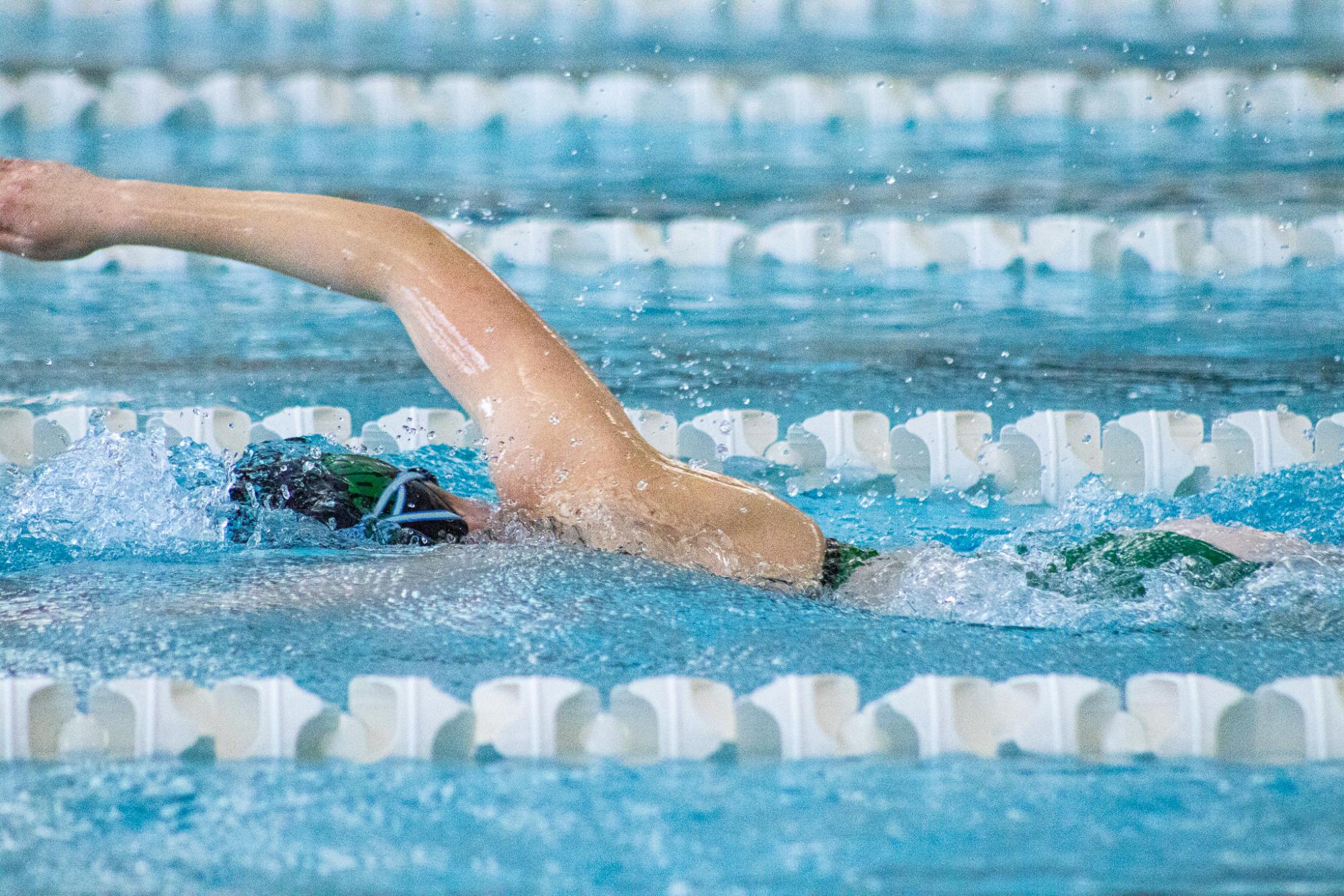 Swim and Dive Meet at Campus (By Ava Phouangmala)