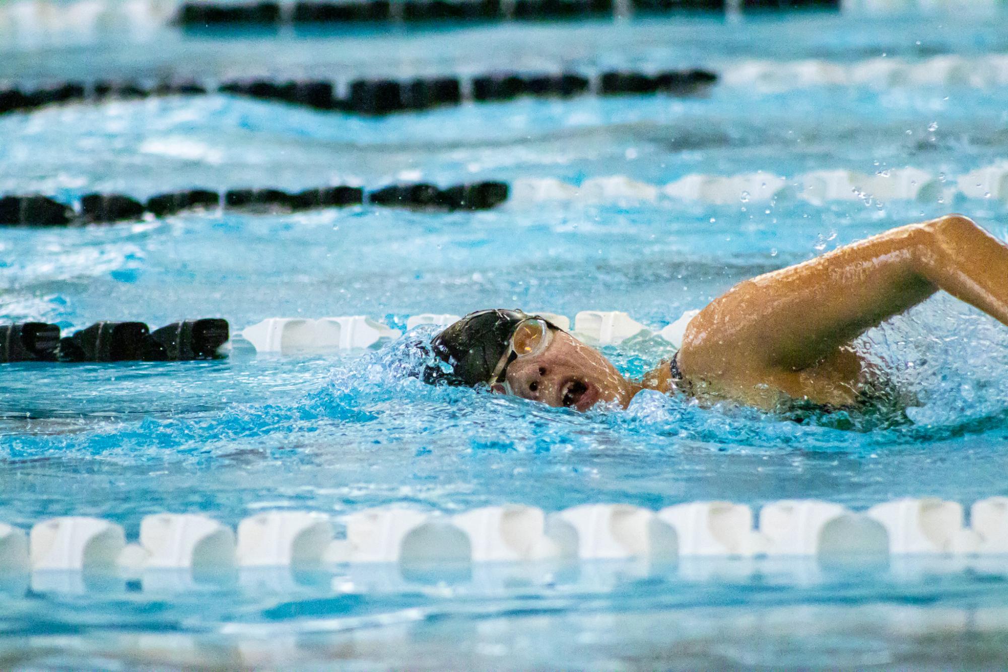 Swim and Dive Meet at Campus (By Ava Phouangmala)