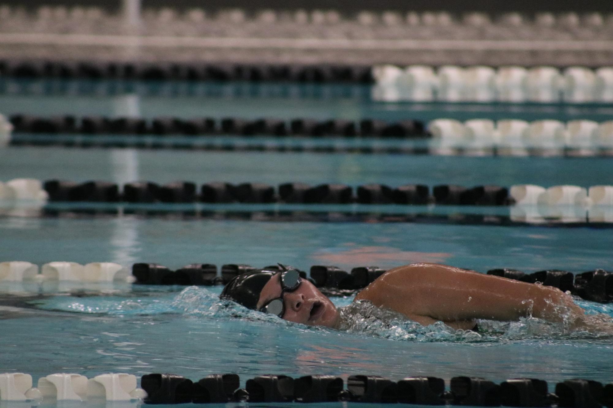 Girls swim senior night (Photos by Sophia Rogers)