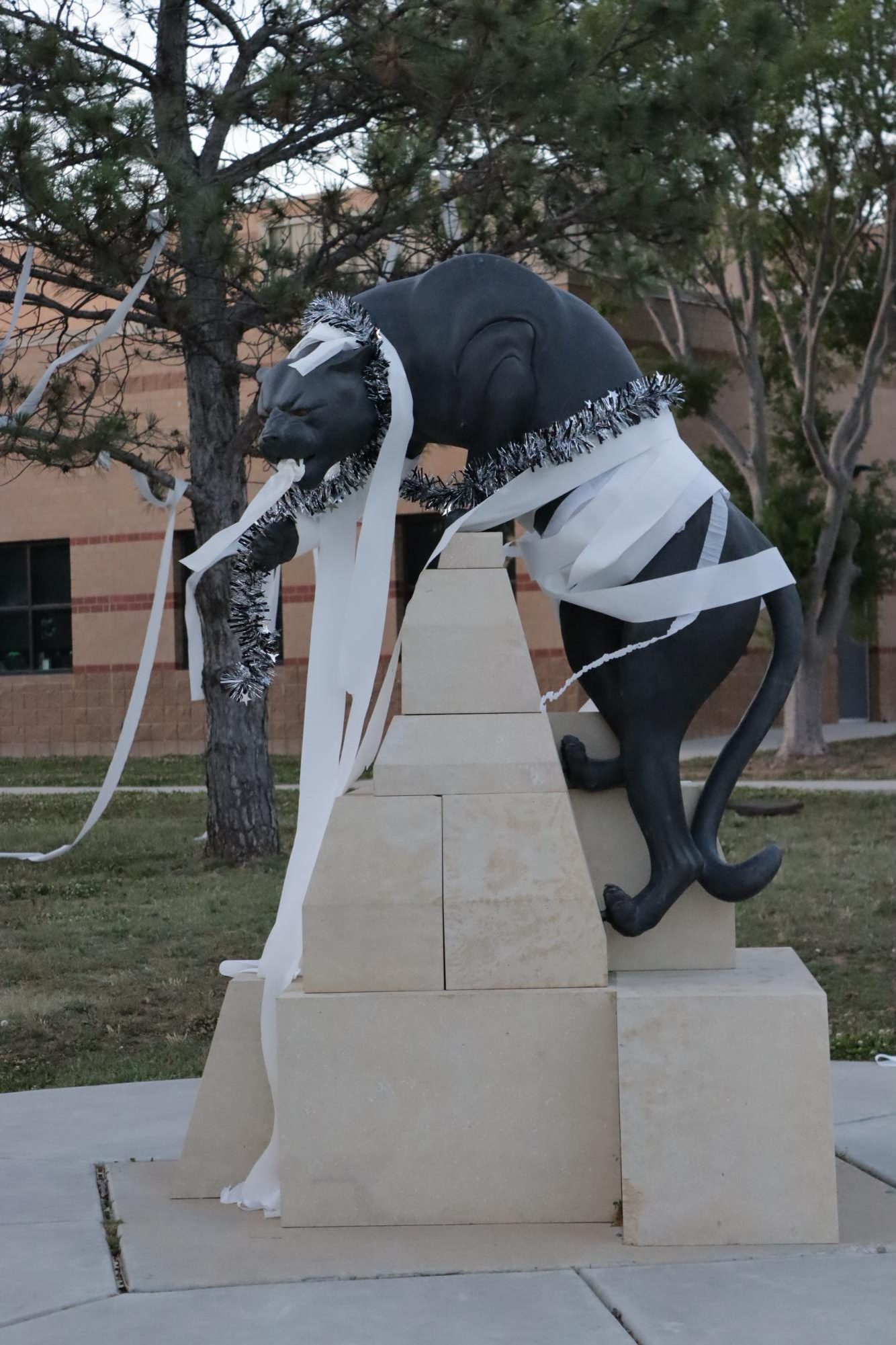 Senior Prank: Night Before (Photos by Bree Stuhlsatz)