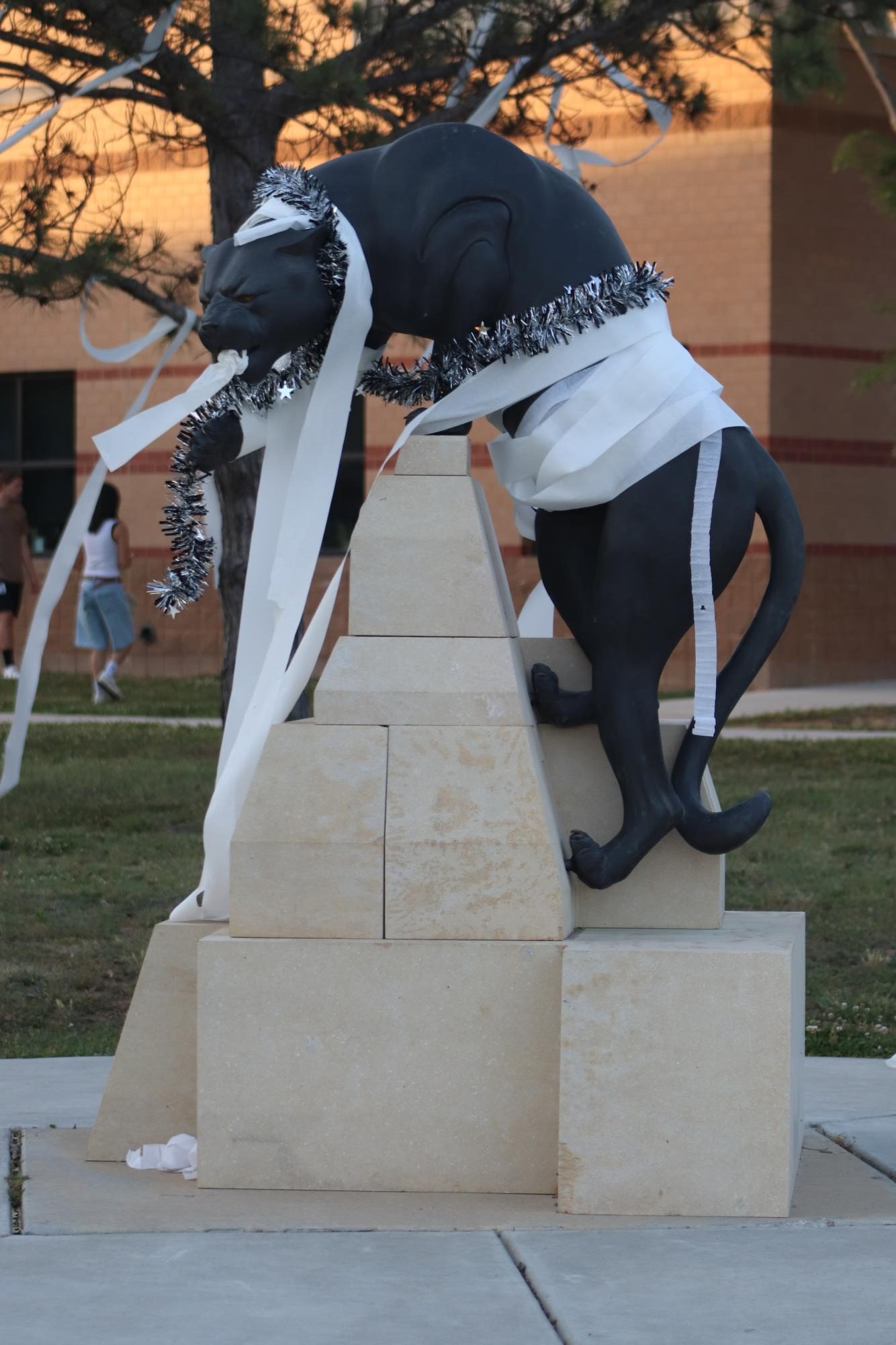 Senior Prank