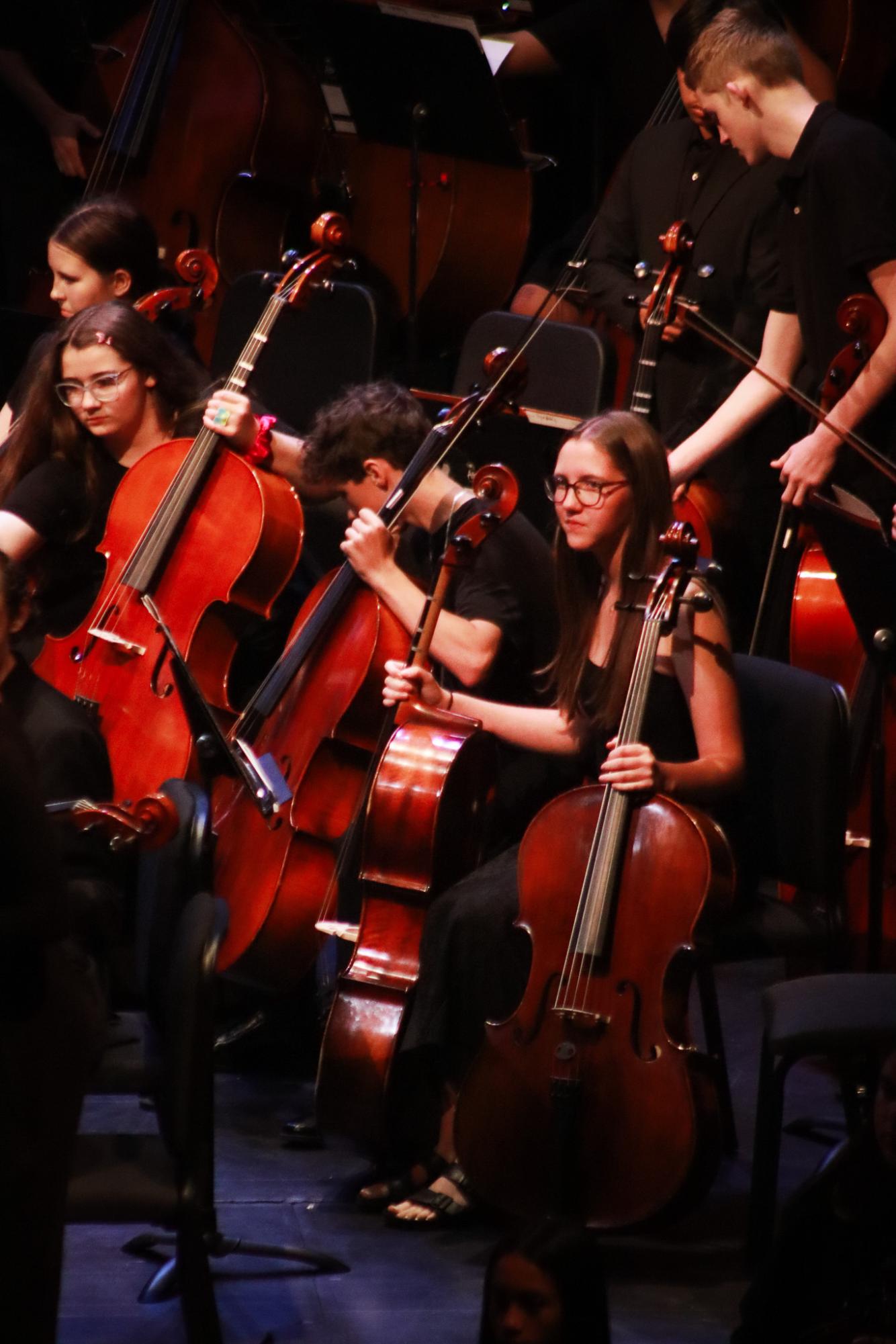 Orchestra Concert (By Ava Phouangmala)
