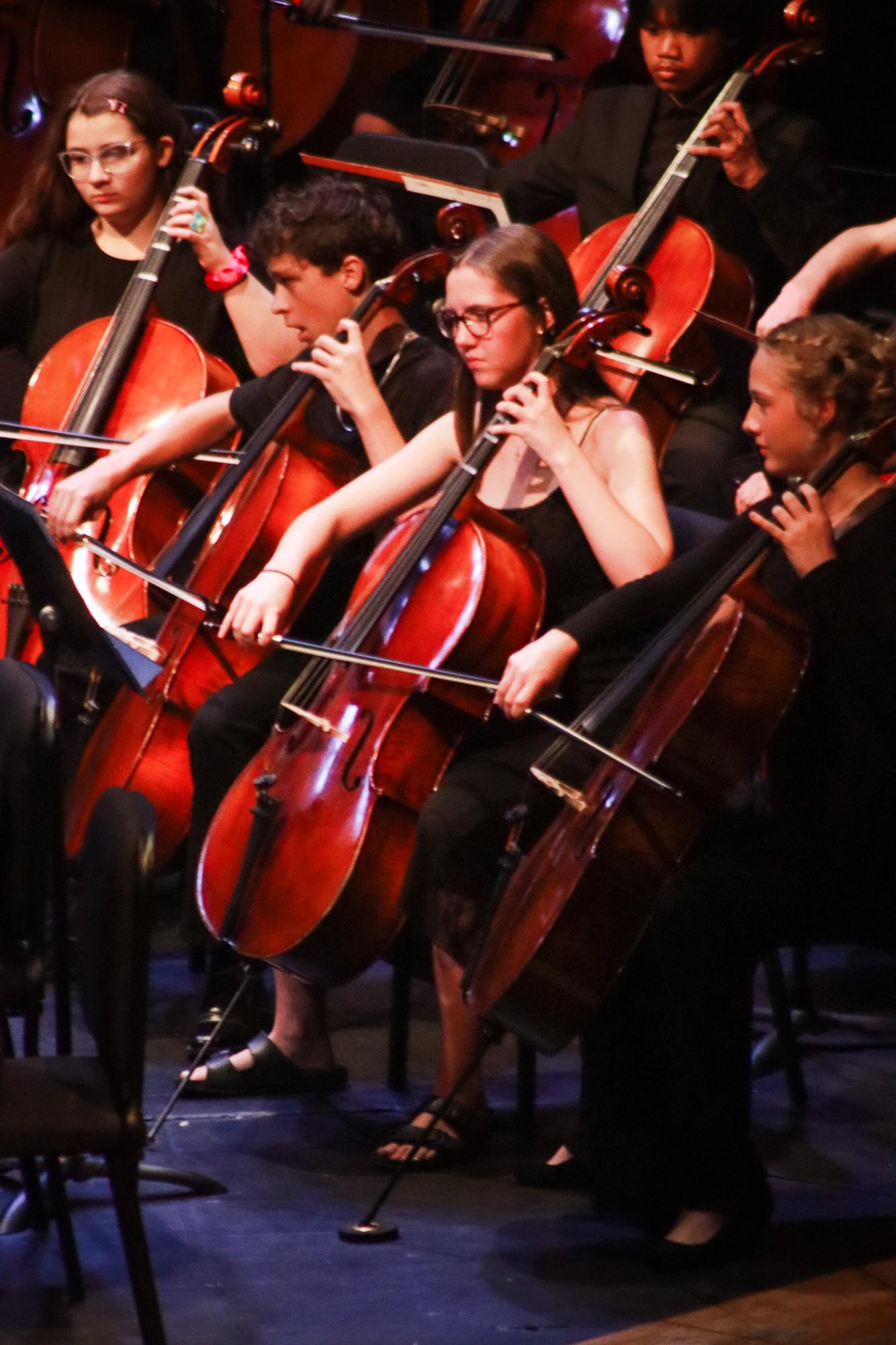 Orchestra Concert (By Ava Phouangmala)