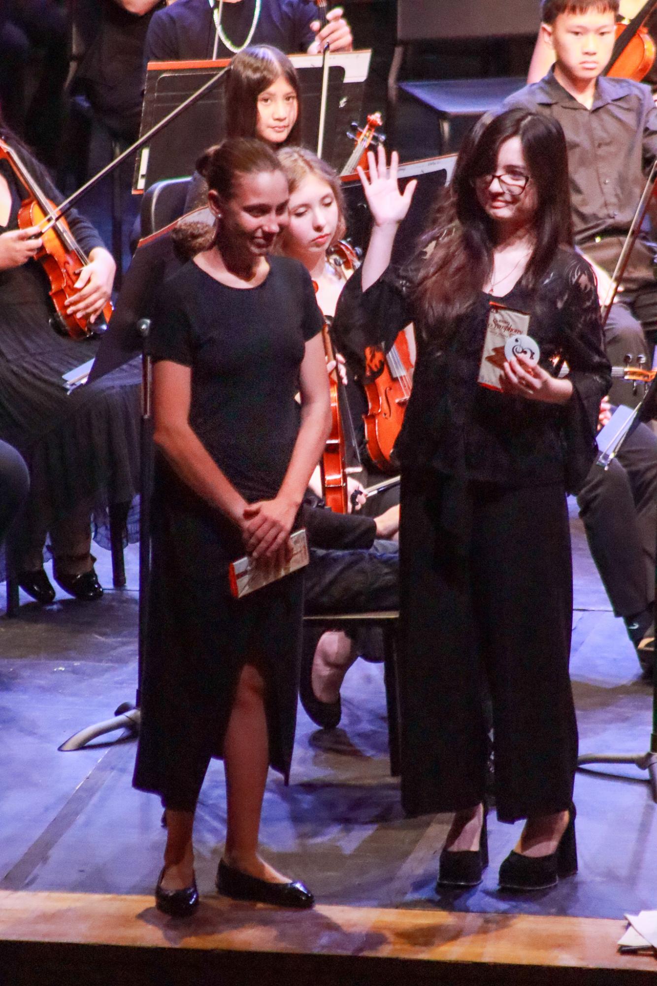 Orchestra Concert (By Ava Phouangmala)