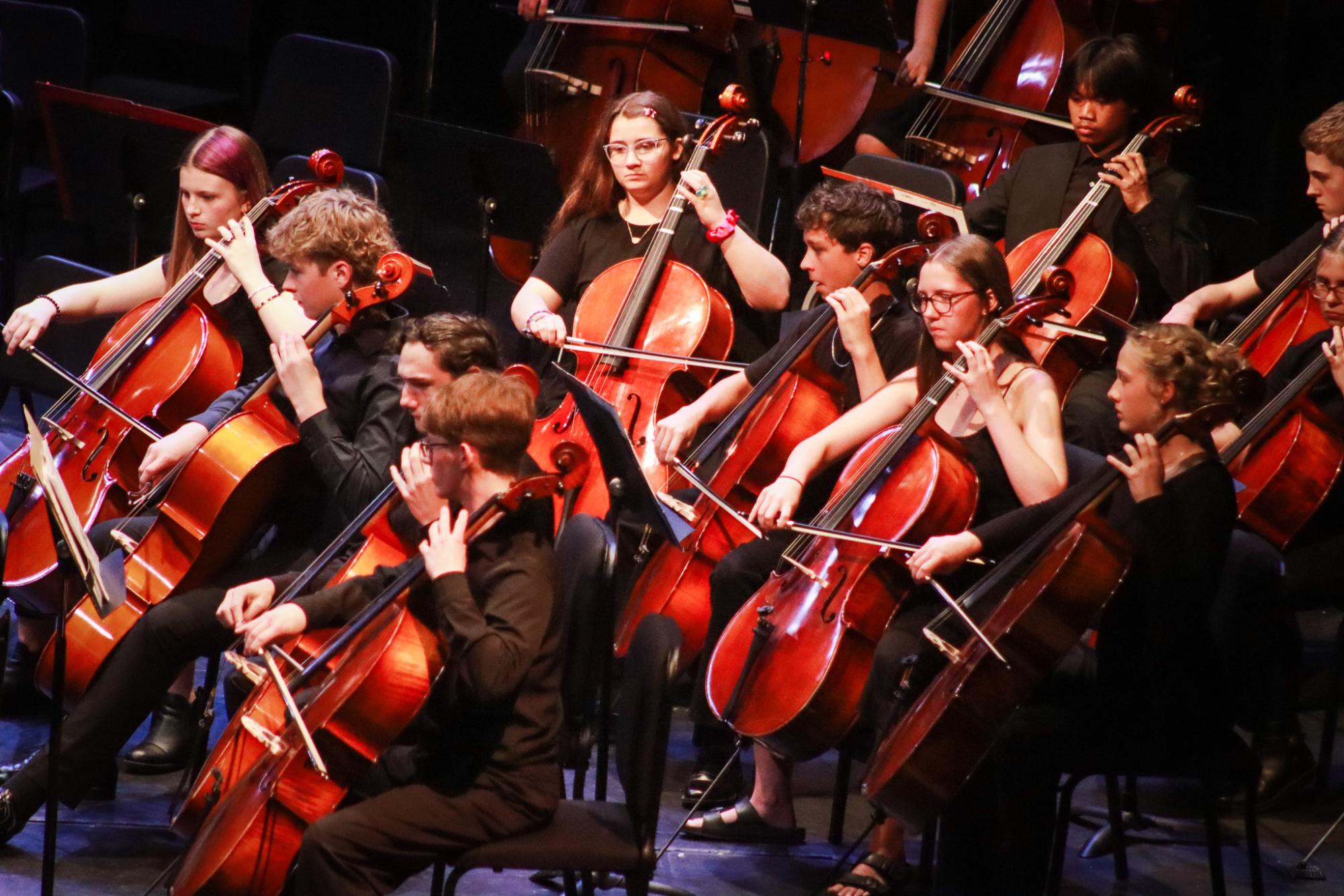 Orchestra Concert (By Ava Phouangmala)