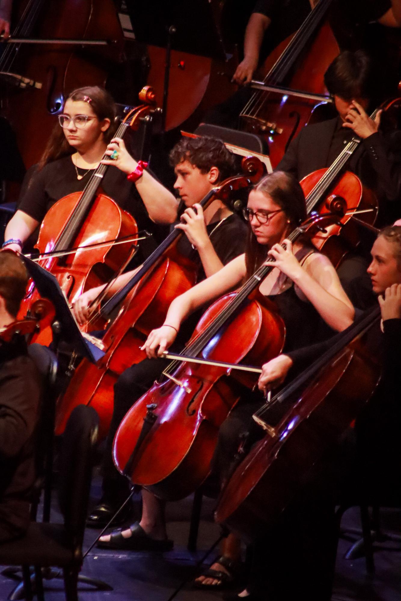 Orchestra Concert (By Ava Phouangmala)