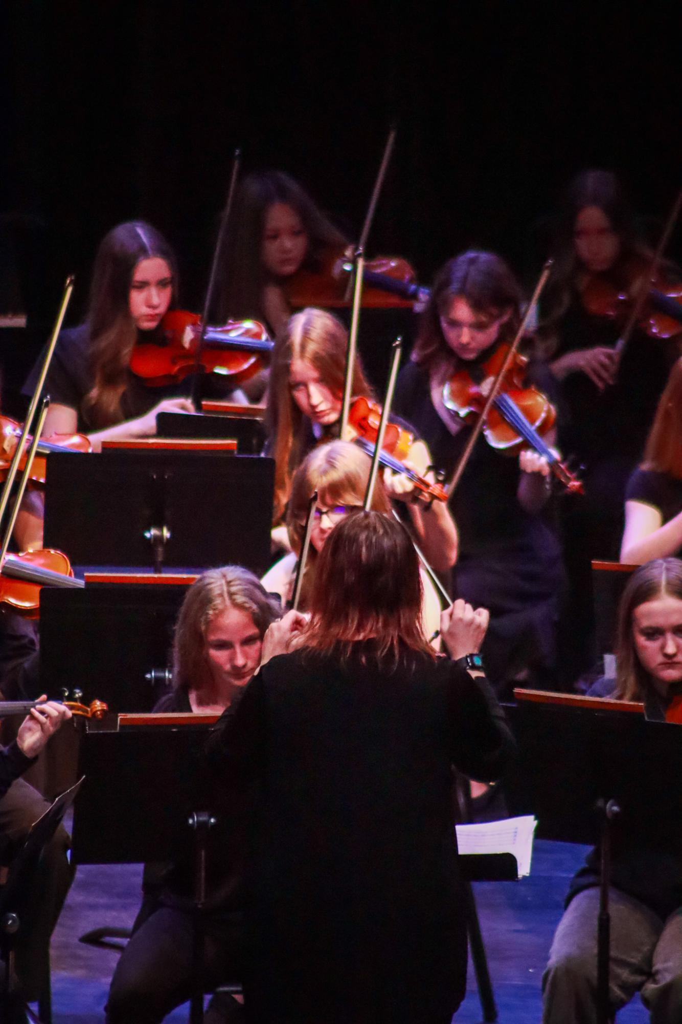 Orchestra Concert (By Ava Phouangmala)