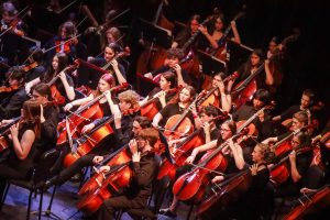 Orchestra Cello players playing a song.