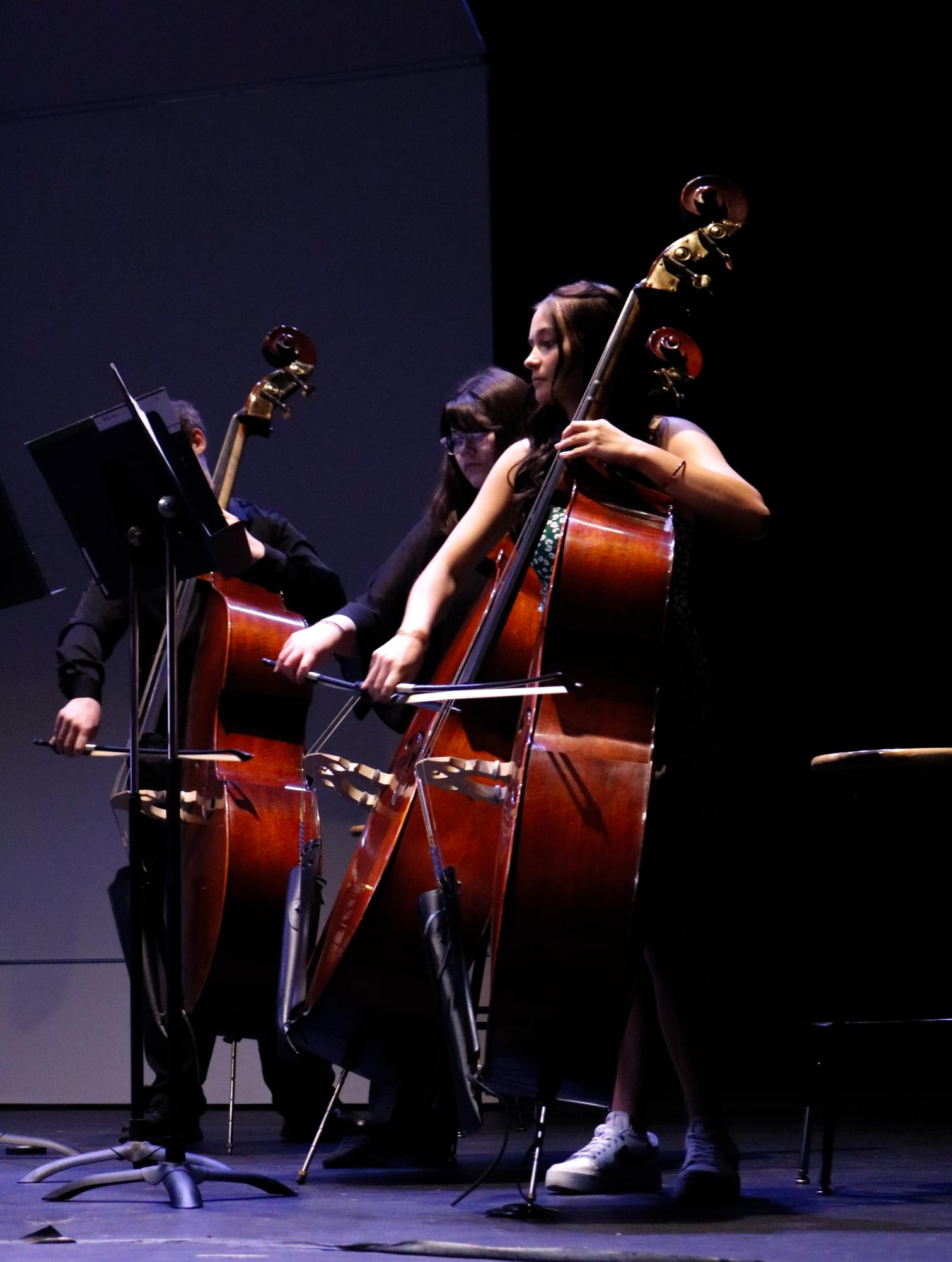 Orchestra Concert (Photos by Kameryn Feikert)